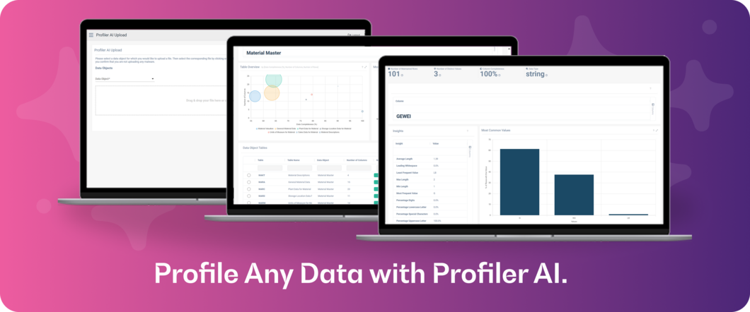 Profile Any Data and Build a Living Data Catalogue with Profiler AI.